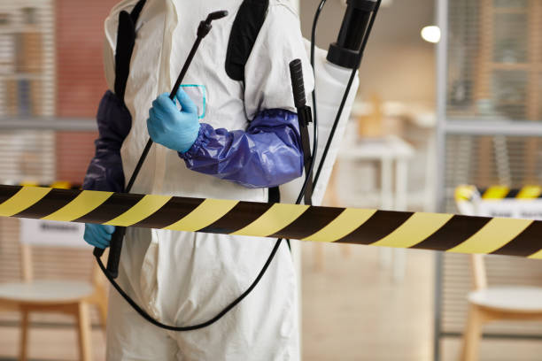 Professional Sewage Cleanup technician working in Keyport, NJ